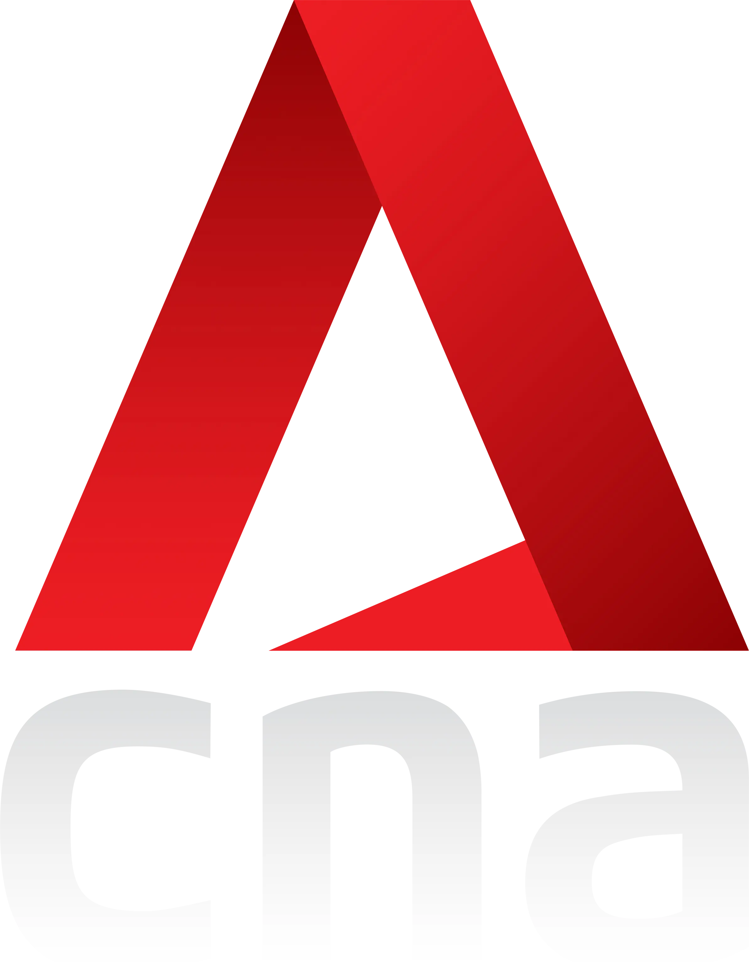 CNA Logo