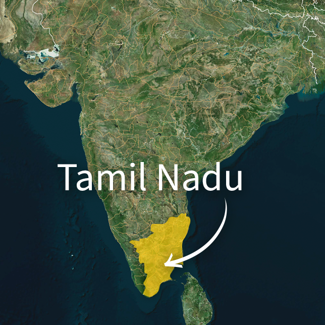 Tamil Nadu, India